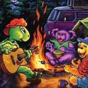 Meet your Posher, Casey